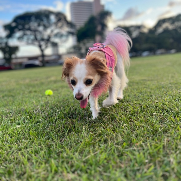 Meet your Posher, Kristin - Picture 7 of 14